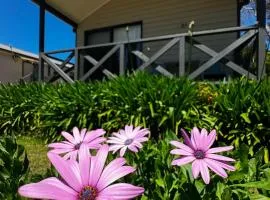 Eaglehawk Park Canberra