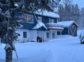 House with charm, valley with lots of northern lights, Breivikeidet，位于特罗姆瑟的酒店