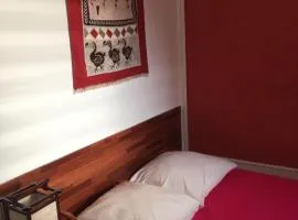 appartement ANANAS CARAMBOLES