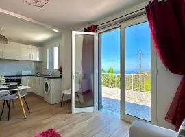 Little Blue Paradise