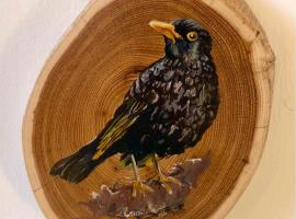 Amselwohnung，位于Lübs的酒店