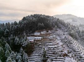 The Deodar Stays，位于卡纳塔尔的酒店
