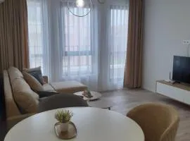 Villa Vitosha Apartments