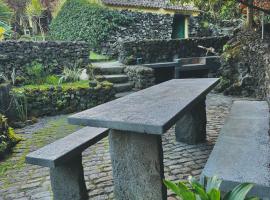 Portugal House，位于Praia do Norte的酒店