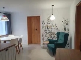 Apartament Zdrój