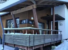 Kylpyla SPA, Saimaa Villa B3