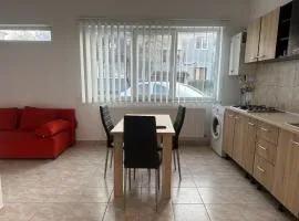 Apartament Magurele spatios cu intrare separata