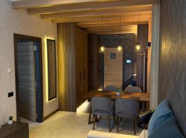 Woodside AS family apartment，位于Raška的酒店
