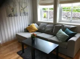 Bright and nice apartment