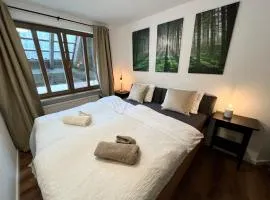 Schwarzwald Apartment mit Sauna 2 Zimmer frisch renoviert