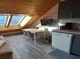 Résidence Les Anémones - Chaleureux Appartement de montagne 4 pers MAE-1921