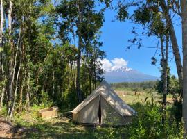 Glamping peumayen，位于巴拉斯港的豪华帐篷