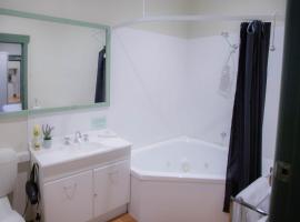Large Studio Apartment With Spa，位于巴拉腊特的酒店