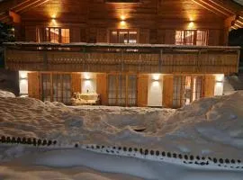 Chalet Davos