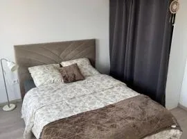 Cozy studio near tram - center