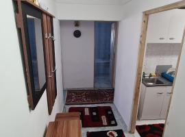 Apartament 28 noiembrie Ap 8 Et 2，位于Siret的酒店