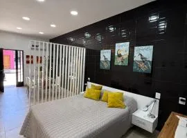 Espectacular Departamento moderno ,acogedor en vicente López
