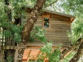 Cabane Perchée avec Jacuzzi, au Coeur du Luberon