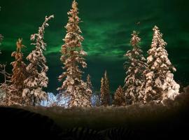 Lights of Lapland Resort，位于波西奥的酒店