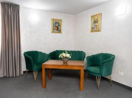 Hotel Casa de Piatra，位于Scheia的酒店