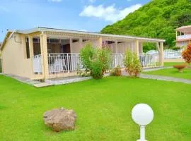 Studio cocooning à Saint Anne / 27 m² / jardin fleuri