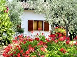 Charming House in Lacona + Garden