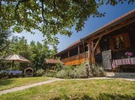 Pool Village House Breznica