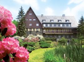 Das Jagdhaus Waldidyll Erzgebirge，位于哈特恩斯特恩的酒店