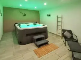 Maison charmante à Levroux avec jardin et spa