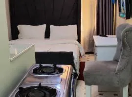 Waiyaki Way homes