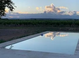 Casa B entre viñedos