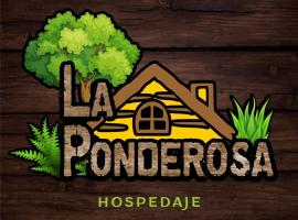 La Ponderosa，位于亚松森的民宿