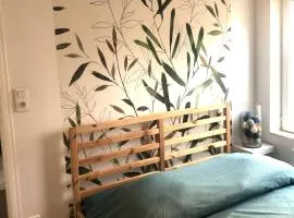 Petit cocon à 10 minutes de Strasbourg