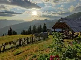 Goca Čakorski Konaci