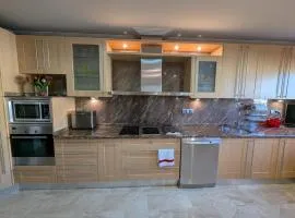 Atico Oasis Elche