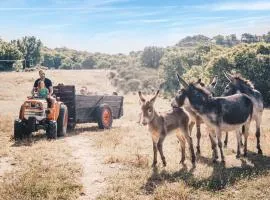 Country Kids Resort - Family Holidays France