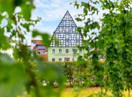 Gästehaus Hopfenperle，位于施帕尔特的酒店