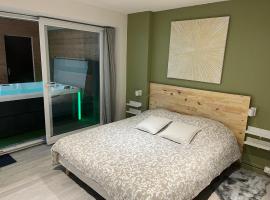 Appartement bien être à Colmar，位于科尔马的酒店