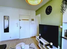 SOH Rent Appartement Strasbourg 2 pièces wifi terrasse