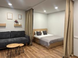 Naujoji Akmene Center Apartment，位于Naujoji Akmenė的酒店