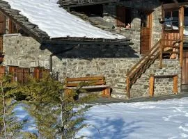 Flora Alpina apartments - Residenza Bieltschocke