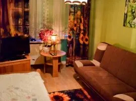 Salt Mine Apartment Bochnia by OTH