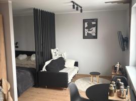 Apartament Zapolska，位于索斯诺维茨的酒店