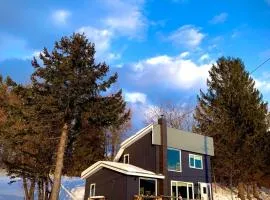 Svalbard Residence - Vacation STAY 18446