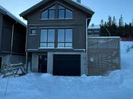 Kvitfjell Year-round destination-Ski in ski out - World Cup side