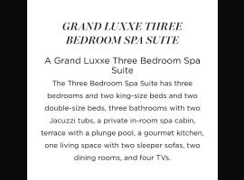 Vidanta Grand Luxxe 3 Bedroom Spa Suite，位于新巴利亚塔的酒店