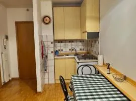 Appartamento Tarvisio Vacanze in Montagna