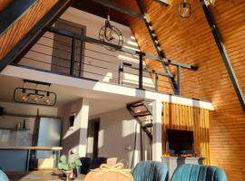 Cabana Alive - Colibita，位于科利比塔的酒店