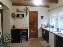 Apartament Wiejski w Siedlisku pod Orzechem