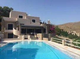 Koudouros villa with a swimming pool overlooking the beach of Porto Koundouros